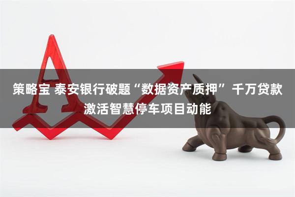 策略宝 泰安银行破题“数据资产质押” 千万贷款激活智慧停车项目动能